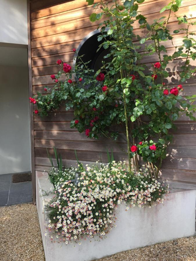 La Belle Relax - Calme Et Tranquillite Assures - 2 Personnes Bed & Breakfast Moelan-sur-Mer Ngoại thất bức ảnh